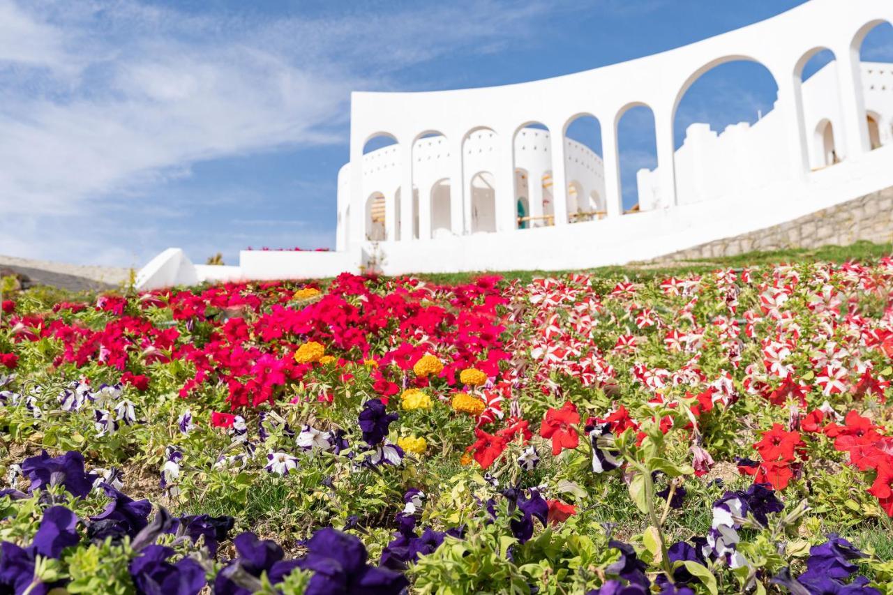 Benben By Dhara Hotels - Adults Only Asszuán Kültér fotó The Flower Festival in the city of Akita
